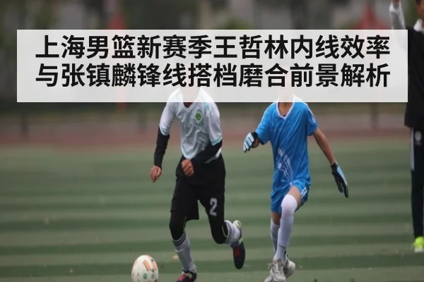 上海男篮新赛季王哲林内线效率与张镇麟锋线搭档磨合前景解析