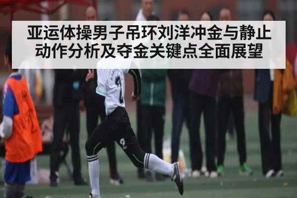 亚运体操男子吊环刘洋冲金与静止动作分析及夺金关键点全面展望